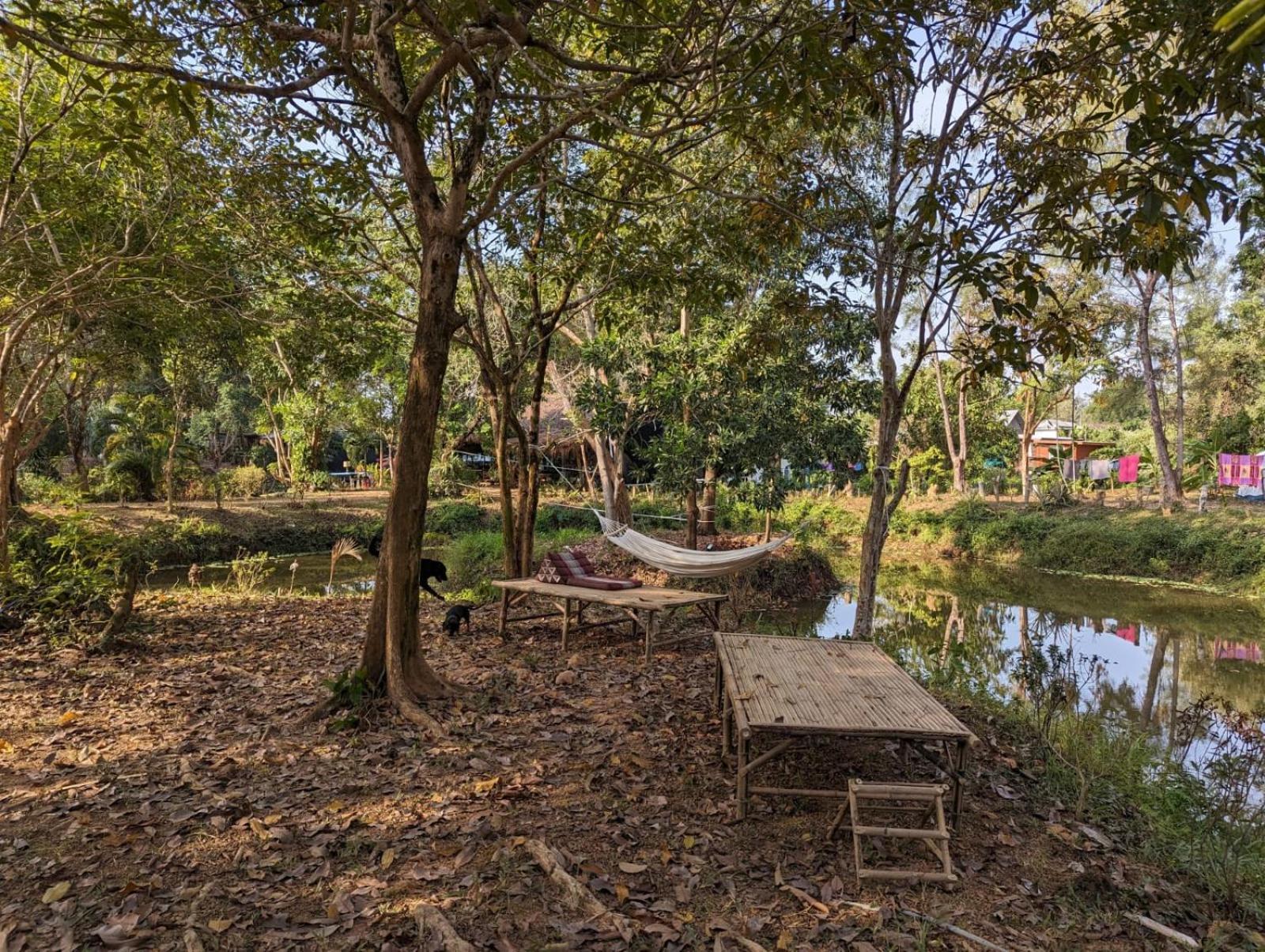 The River Retreat Mak-sziget Kültér fotó
